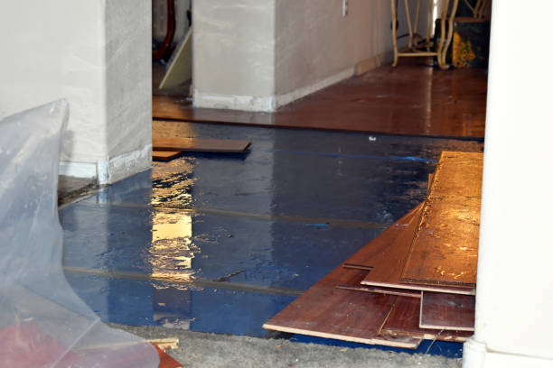 Professional Flood Cleanup technician working in Freeport, MI
